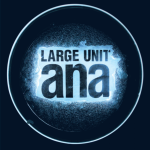 Large Unit - ana